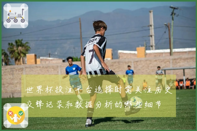 世界杯投注平台选择时需关注历史交锋记录和数据分析的哪些细节