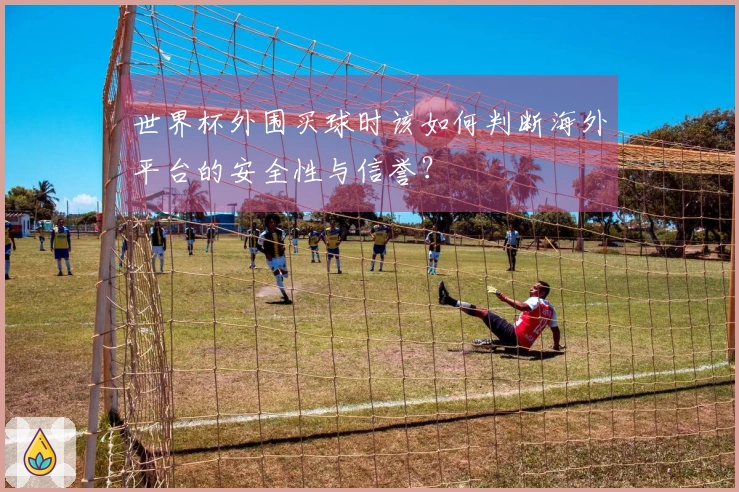 世界杯外围买球时该如何判断海外平台的安全性与信誉？