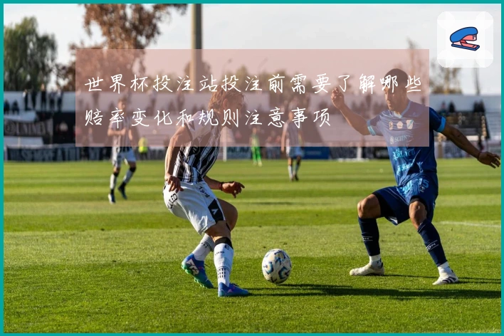世界杯投注站投注前需要了解哪些赔率变化和规则注意事项